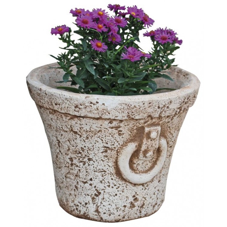 Antic cu ureche mica - 170ron