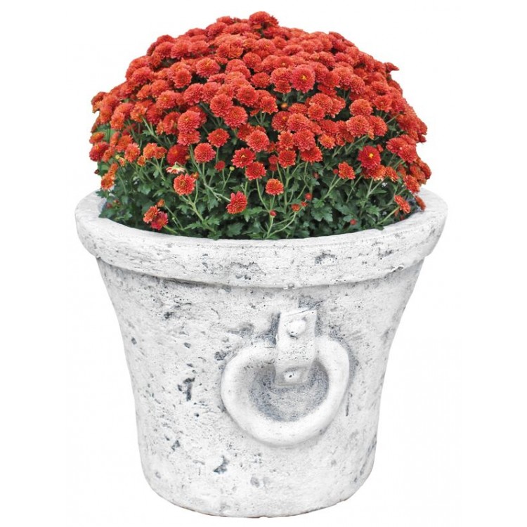 Antic mare cu ureche - 230ron